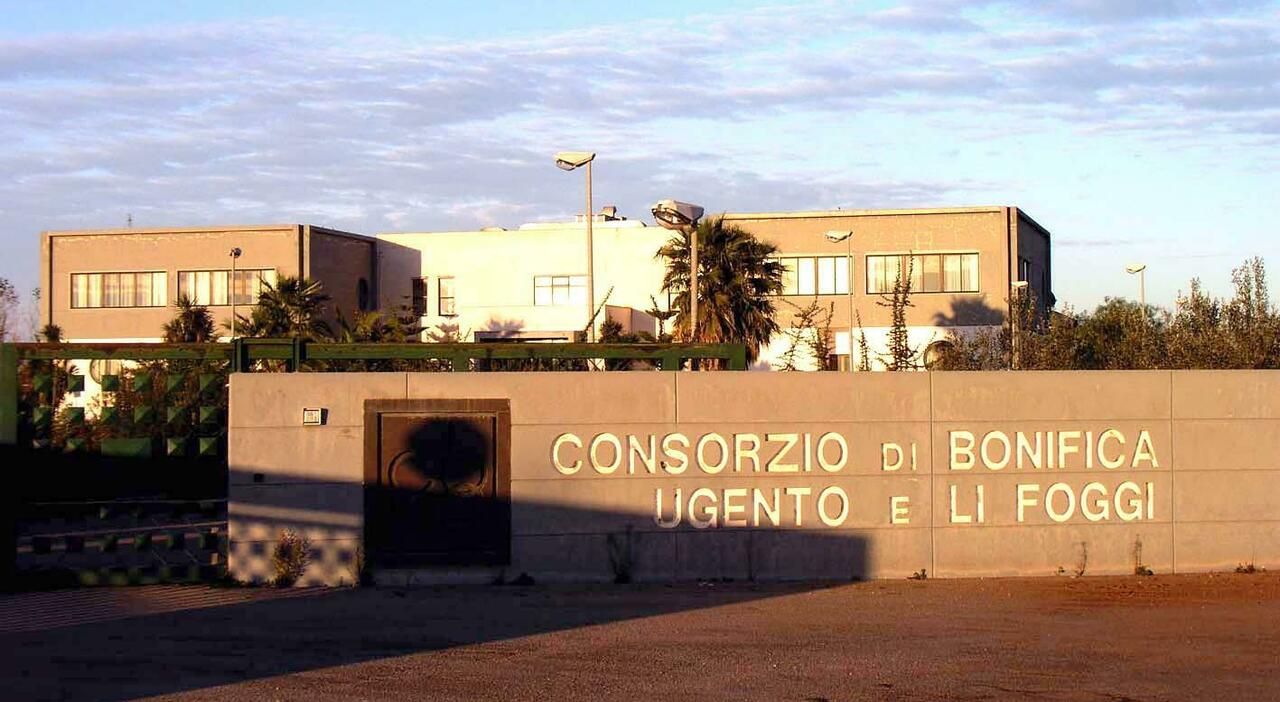 consorzi li foggi - avvocato mirko petrachi