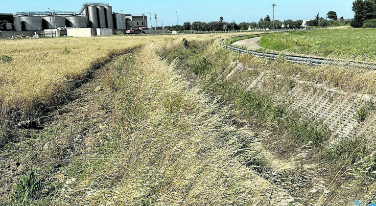 Consorzi di bonifica, si decide sulla rottamazione. Protesteranno gli agricoltori. E intanto i giudici annullano le cartelle